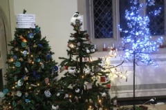 Rowcroft Lower School Tree, Stotfold Trefoil Guild  Tree & Poppies & Poppy Fields Tree