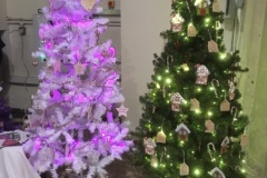 Cancer Wellbeing Tree  & Country Properties Tree